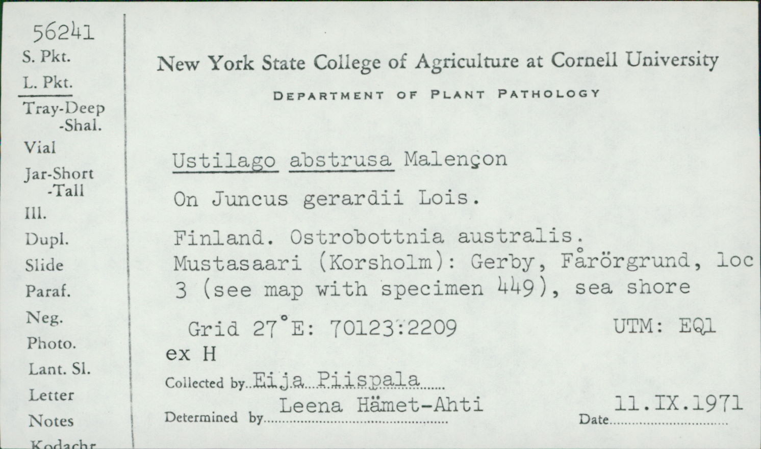 Bauerago abstrusa image
