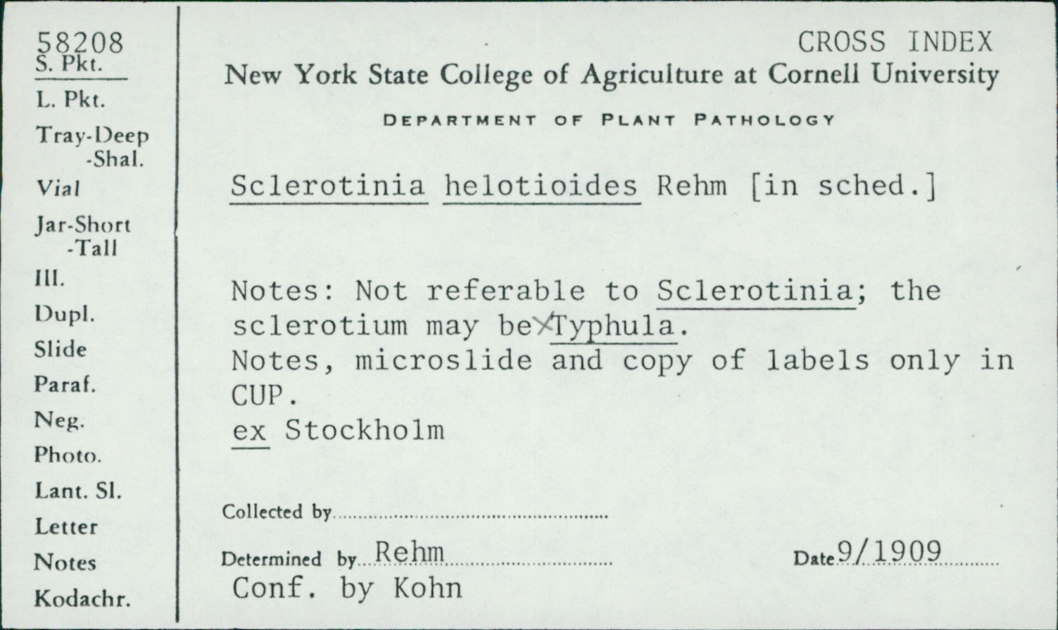 Sclerotinia helotioides image