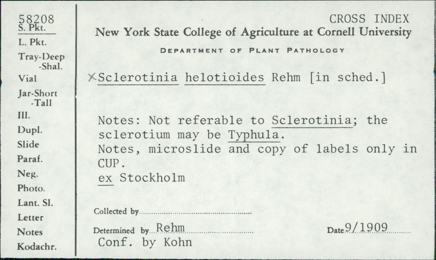 Sclerotinia ficariae image