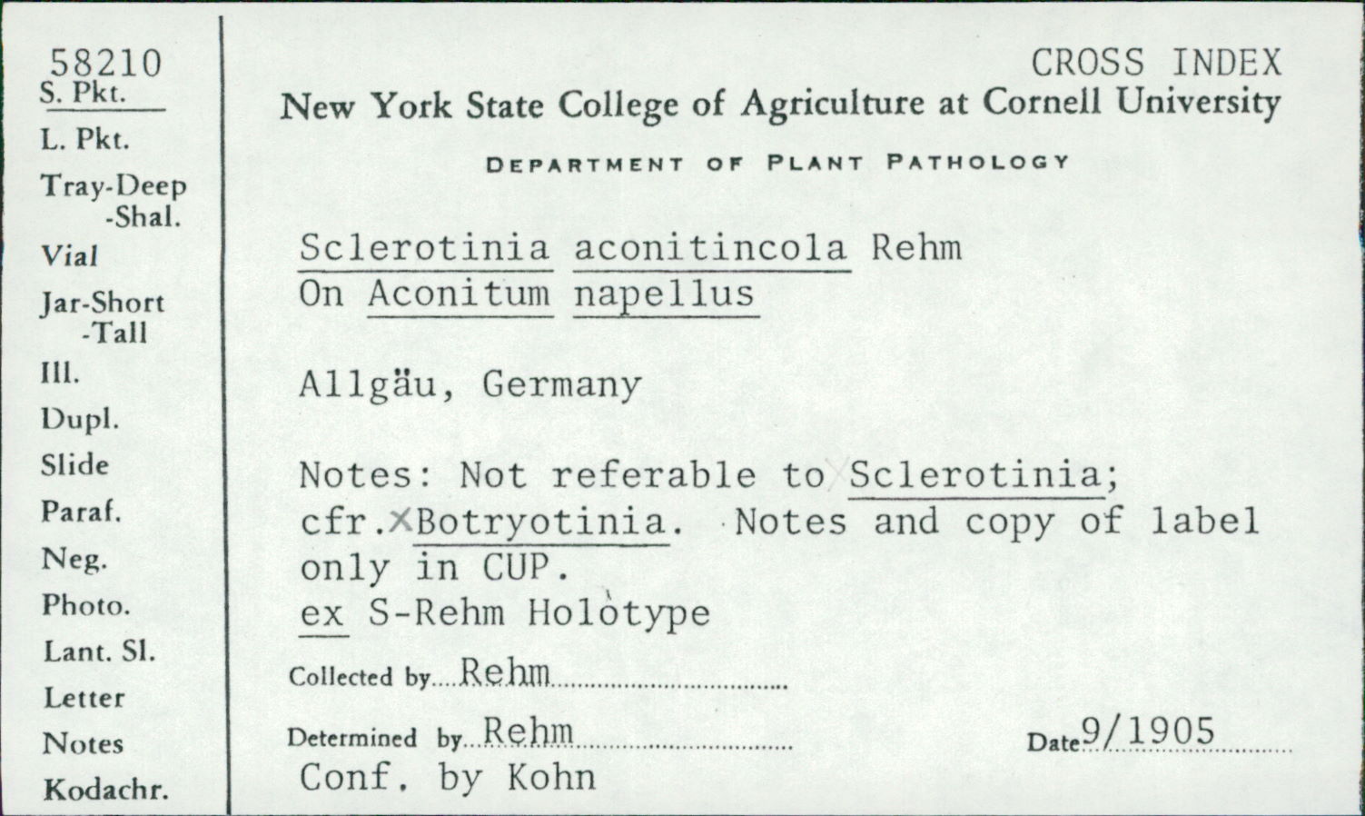 Sclerotinia aconitincola image