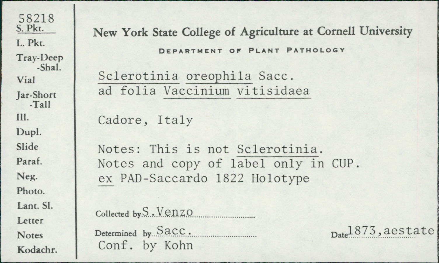 Sclerotinia oreophila image