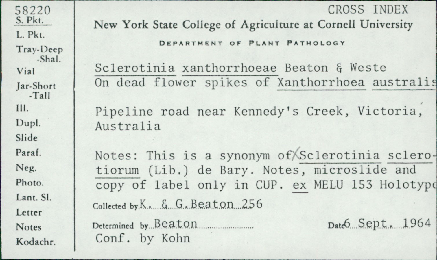 Sclerotinia xanthorrhoeae image