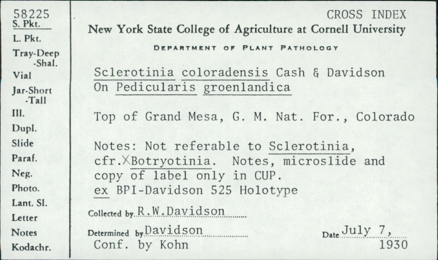 Sclerotinia coloradensis image