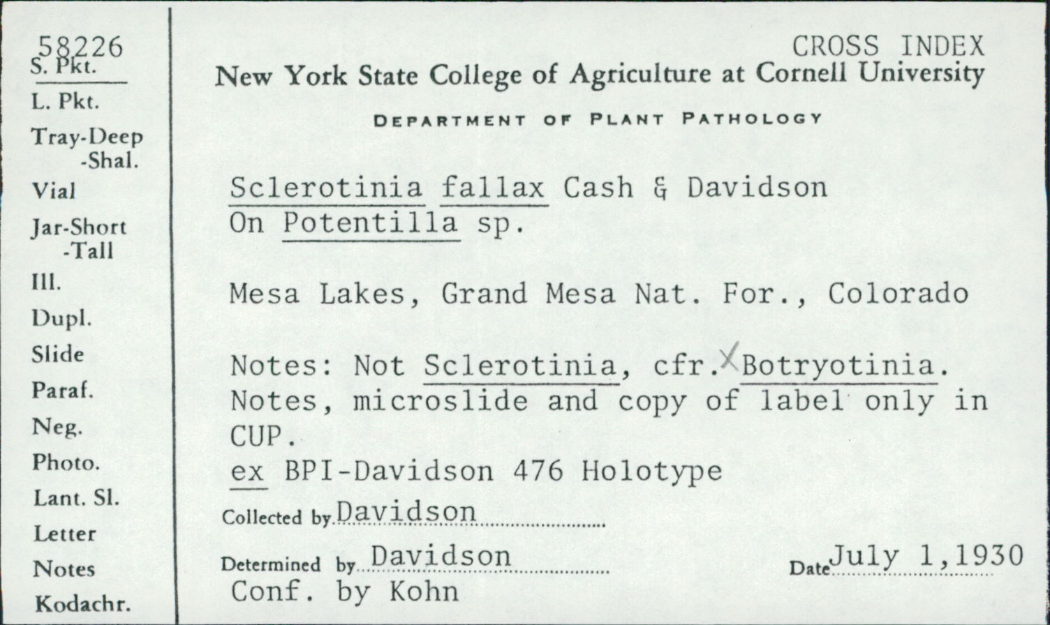 Sclerotinia fallax image