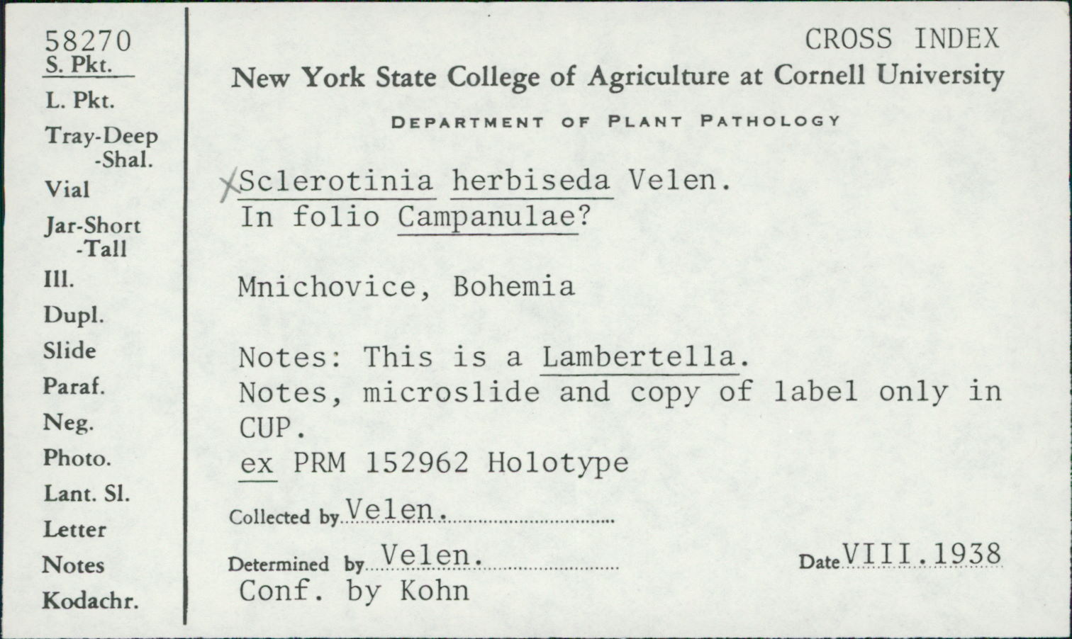 Sclerotinia herbiseda image