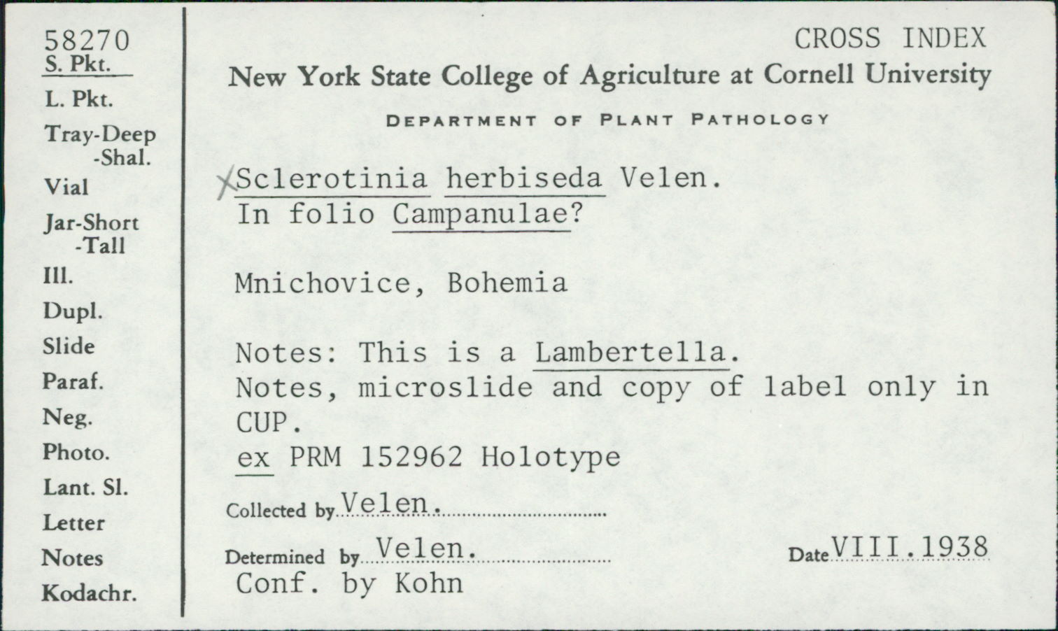 Sclerotinia herbiseda image