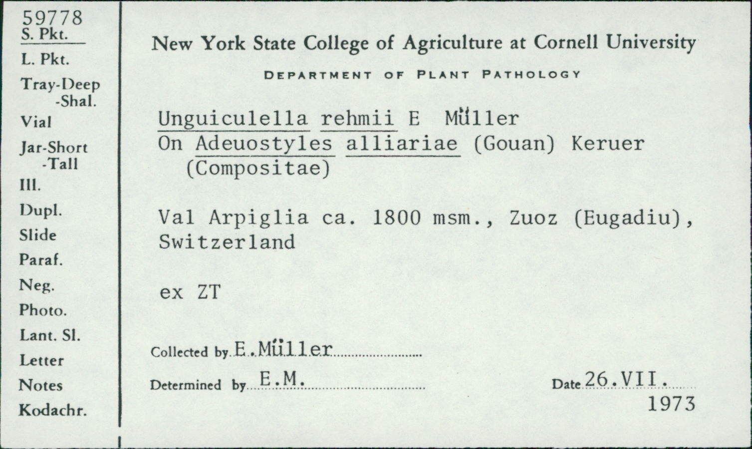 Hyalacrotes image