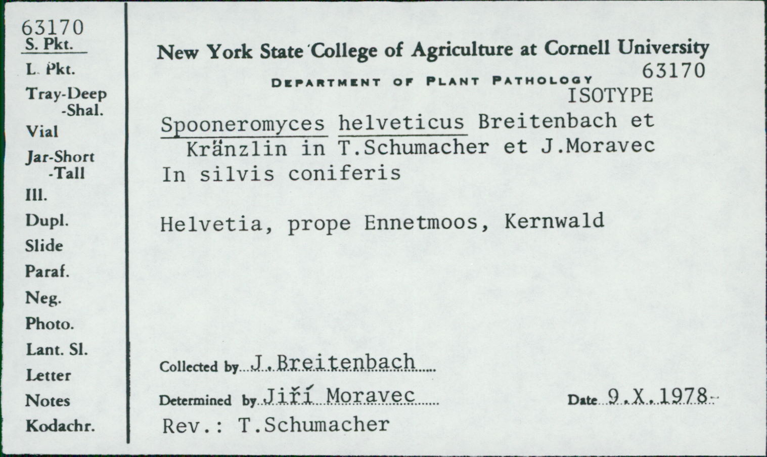 Spooneromyces helveticus image