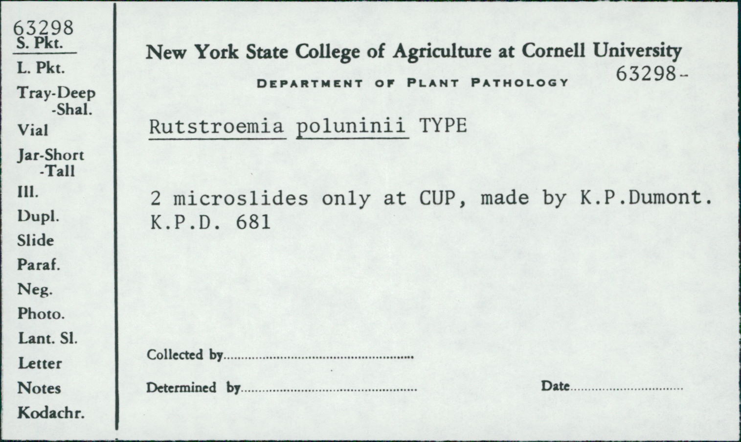 Rutstroemia poluninii image