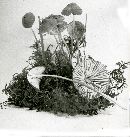 Mycena galopus var. nigra image