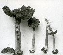 Inocybe cookei image