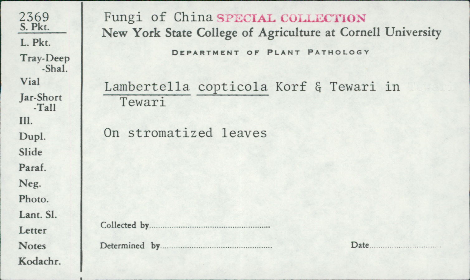 Lambertella copticola image