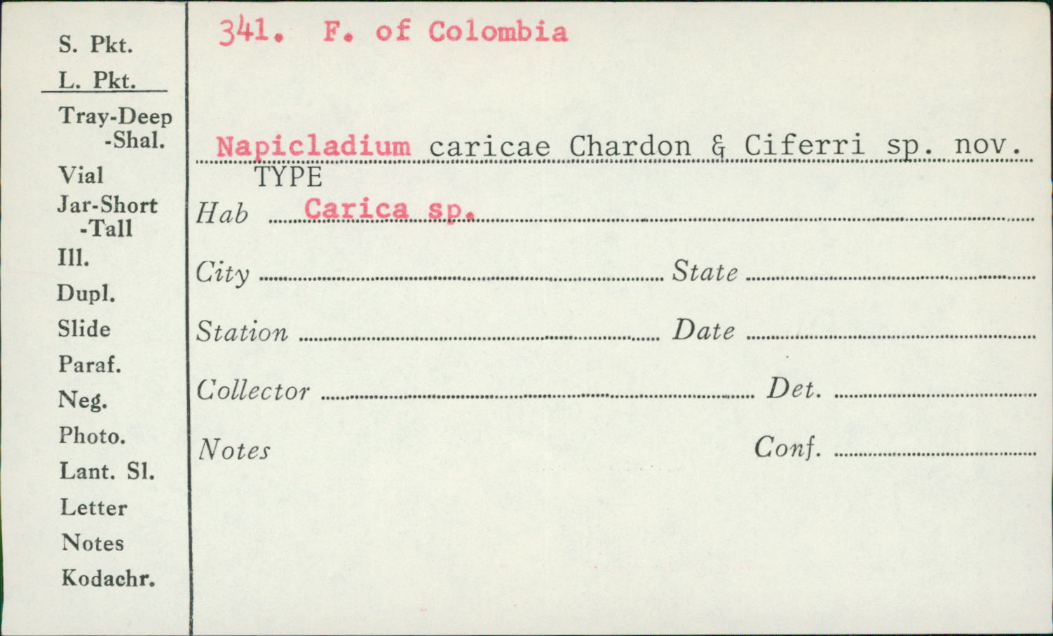 Napicladium caricae image