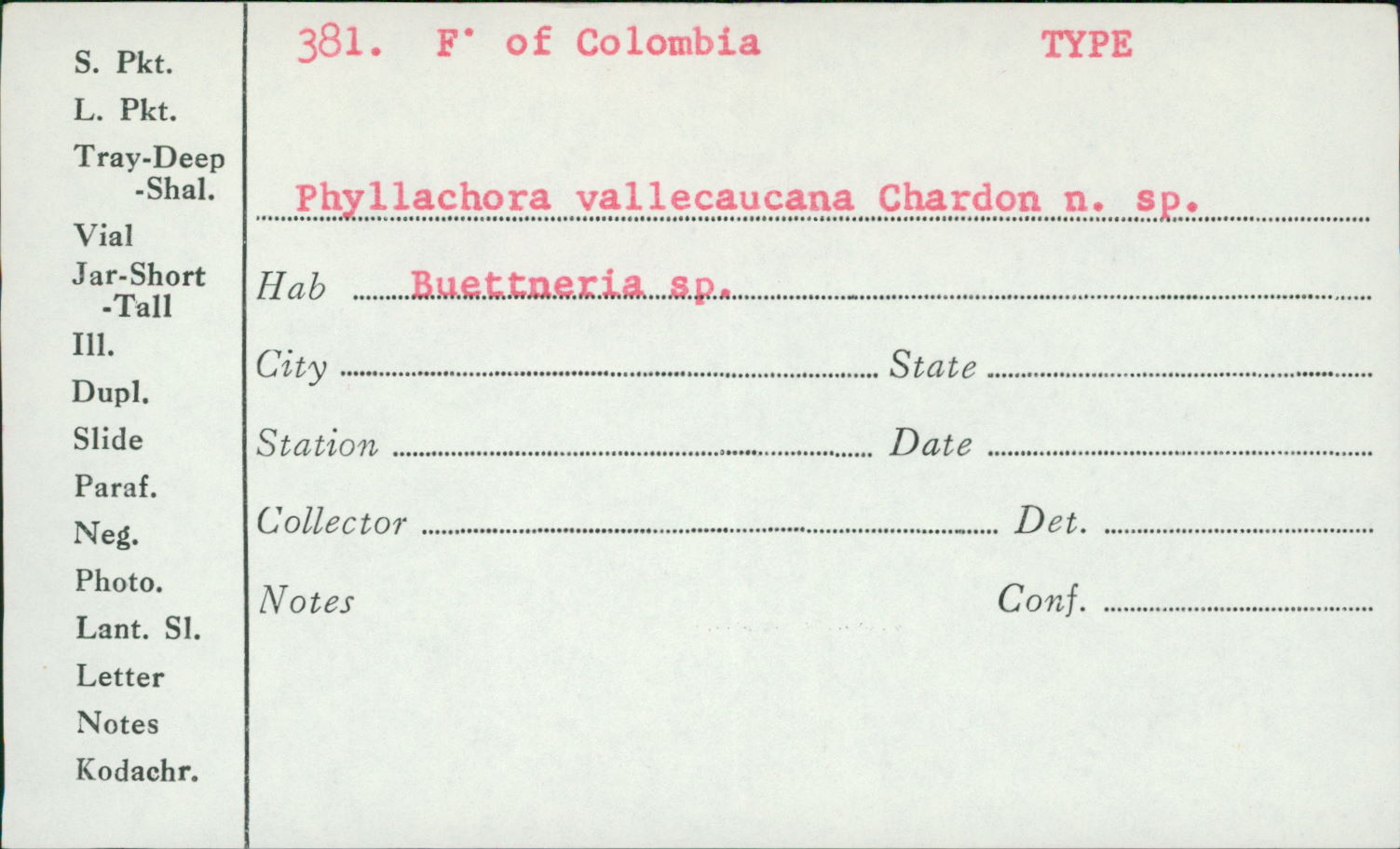Phyllachora vallecaucana image
