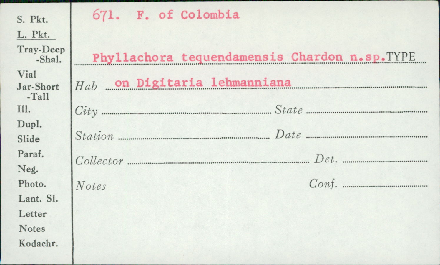 Phyllachora tequendamensis image