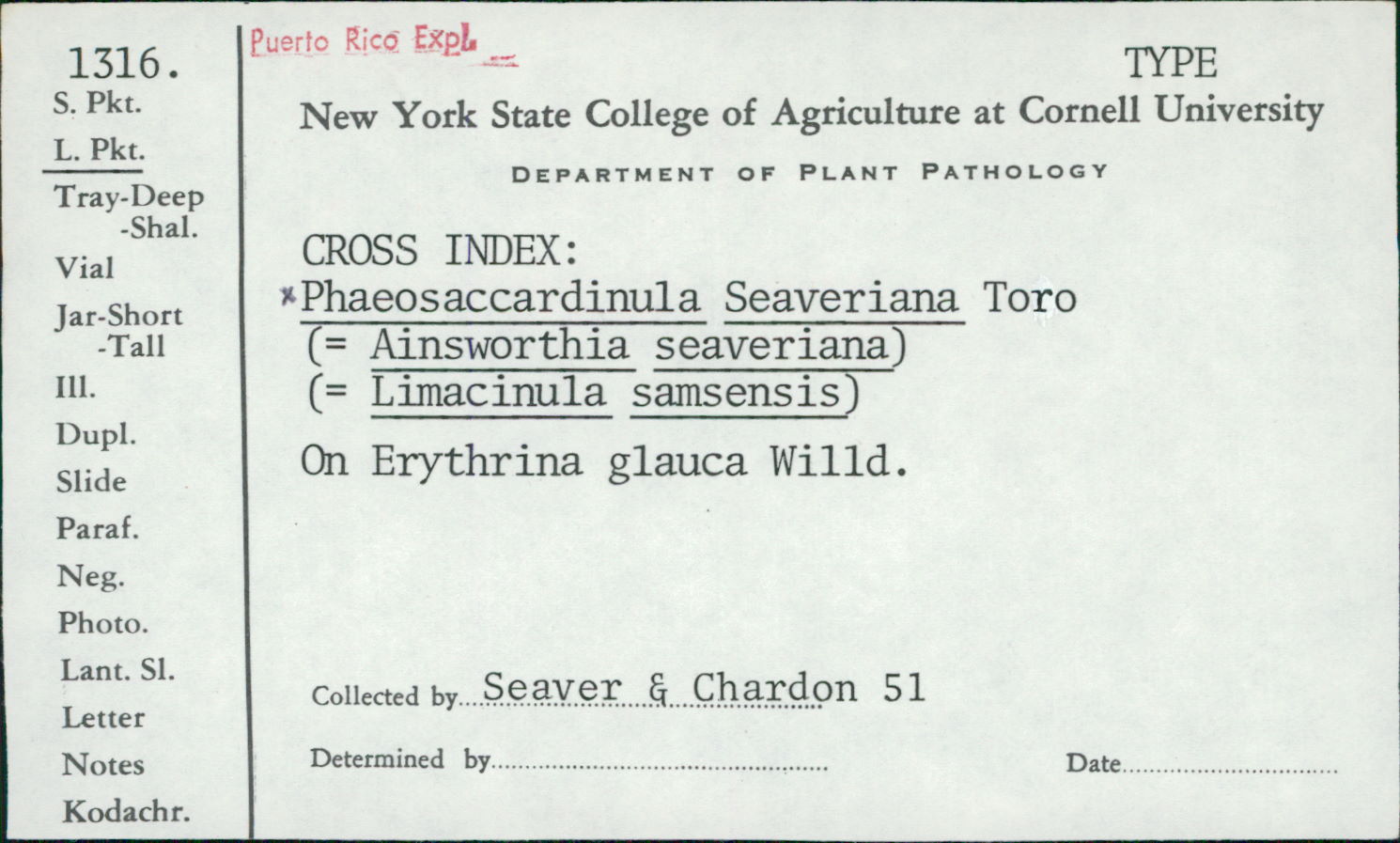 Phaeosaccardinula seaveriana image