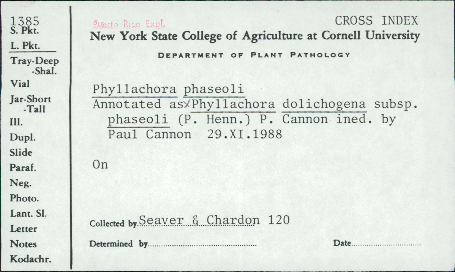 Phyllachora dolichogena ssp. phaseoli image