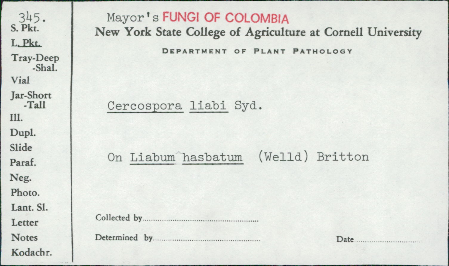 Cercospora liabi image