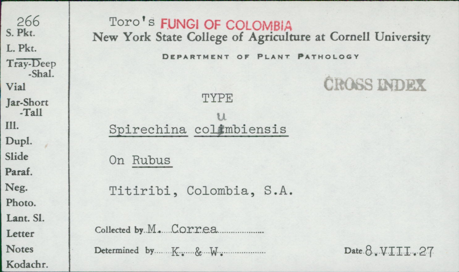 Gerwasia columbiensis image