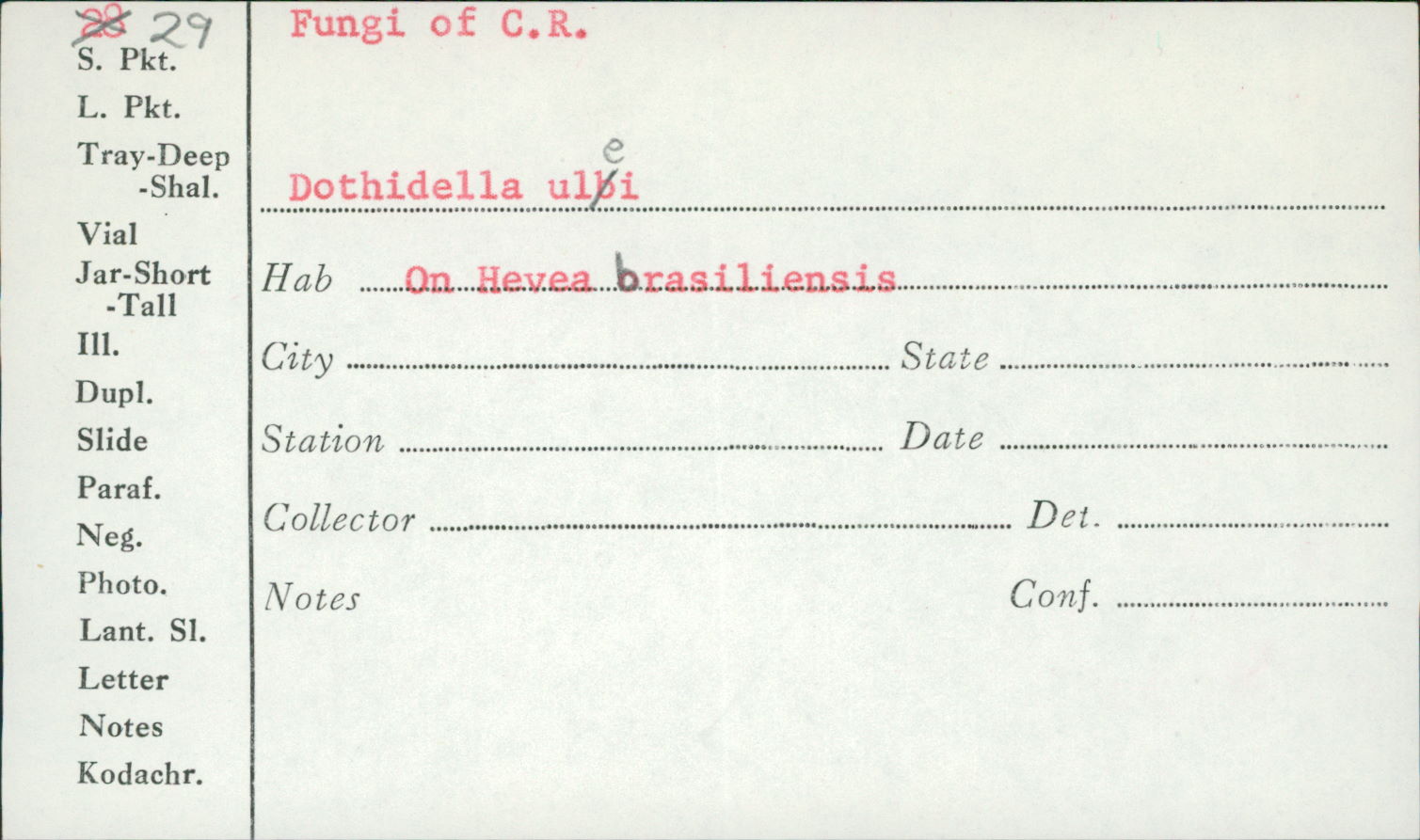 Polystomellaceae image