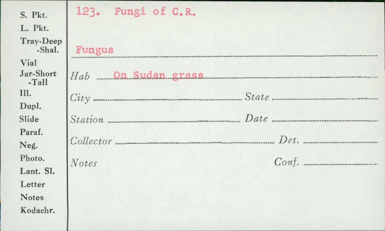 Fungus image