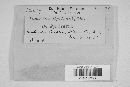 Fusarium equiseti image