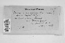 Phomopsis durandiana image