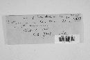 Puccinia xanthii image