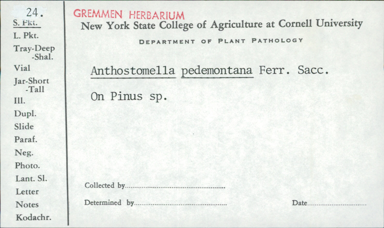 Anthostomella pedemontana image