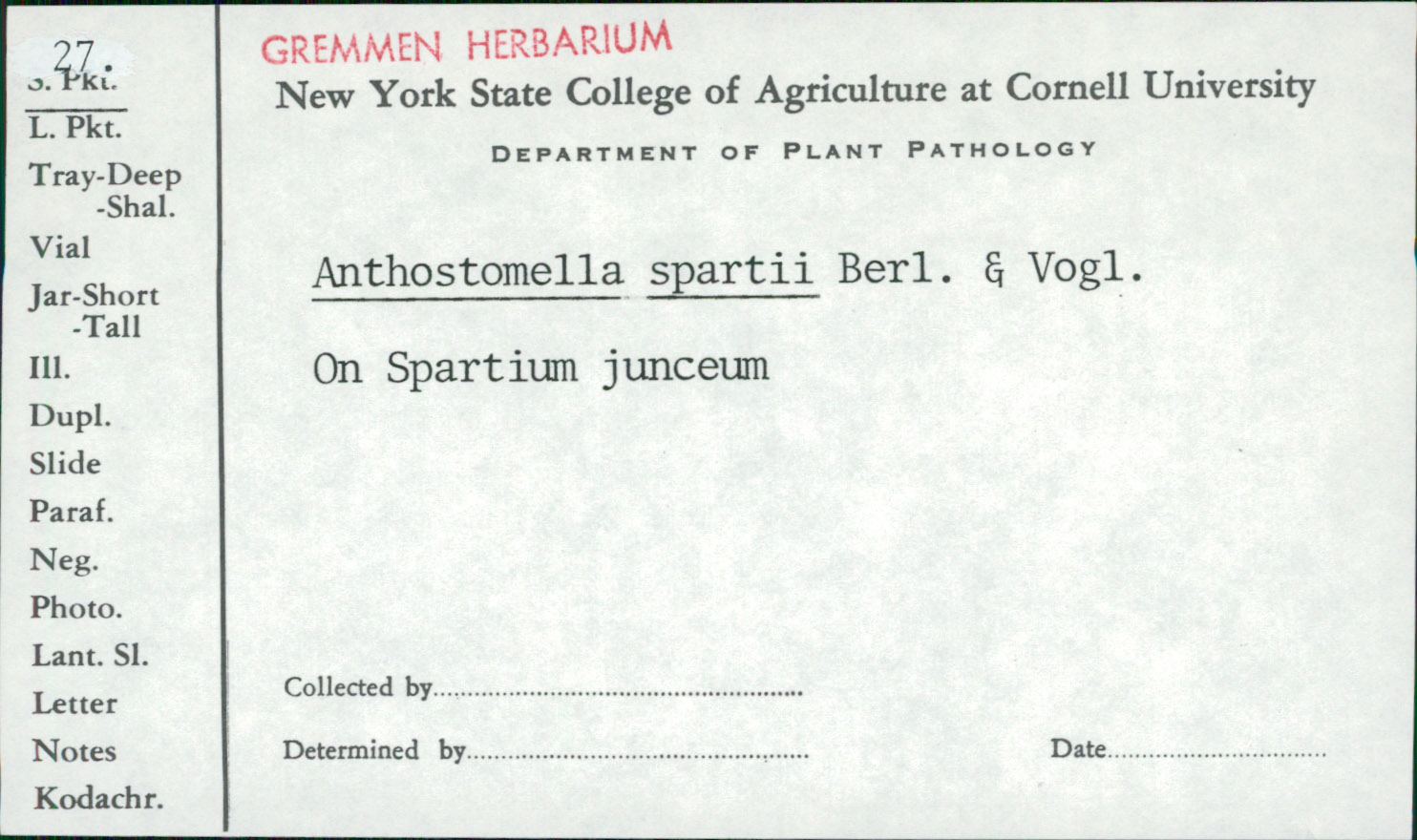 Anthostomella spartii image