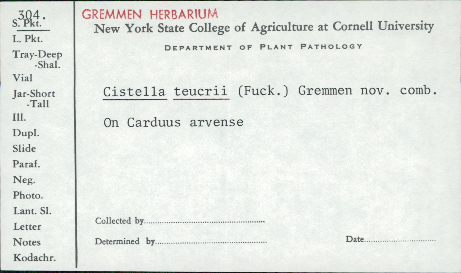 Mollisia teucrii image