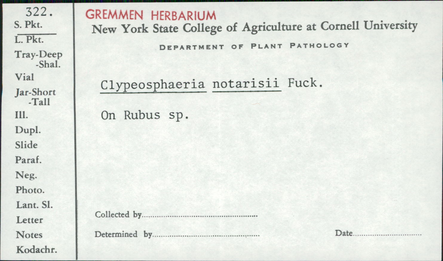 Clypeosphaeria mamillana image