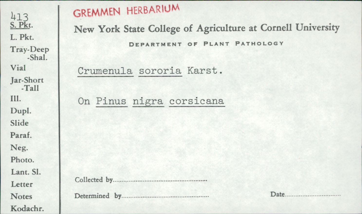 Crumenulopsis image