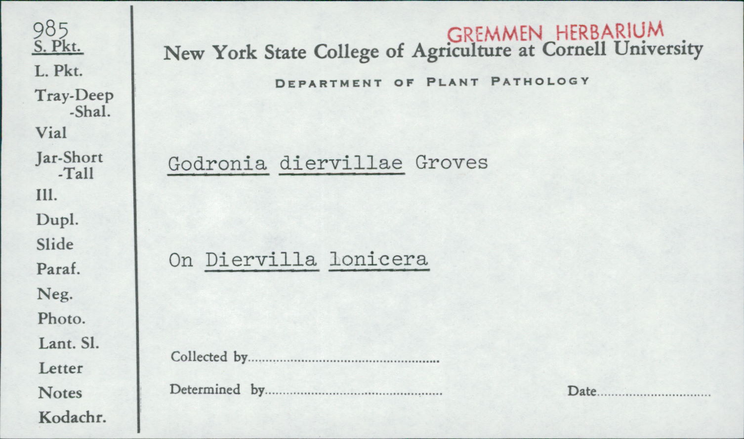 Godronia diervillae image