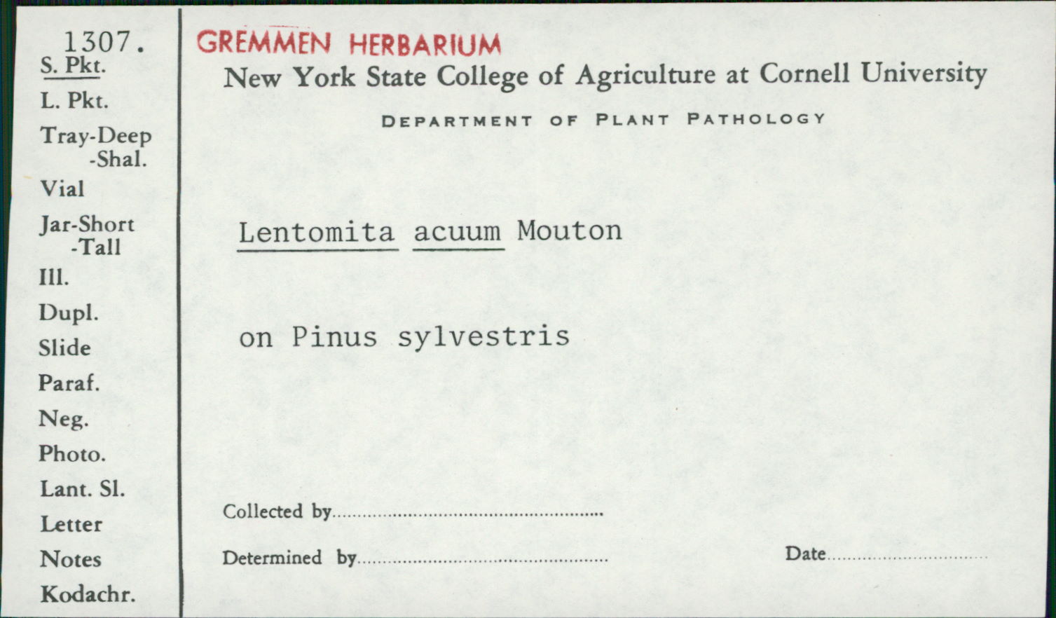 Lentomita acuum image