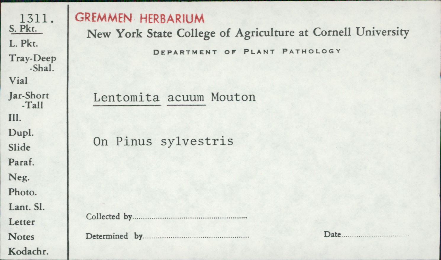 Lentomita acuum image