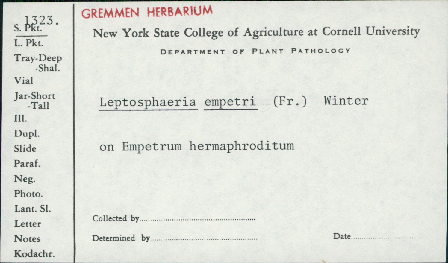 Leptosphaeria empetri image
