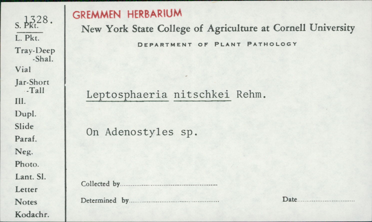 Leptosphaeria nitschkei image