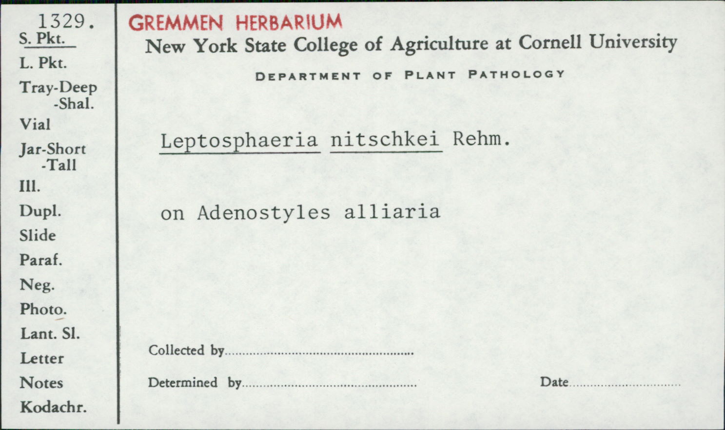 Leptosphaeria image