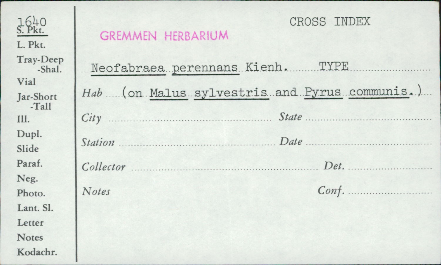 Neofabraea perennans image