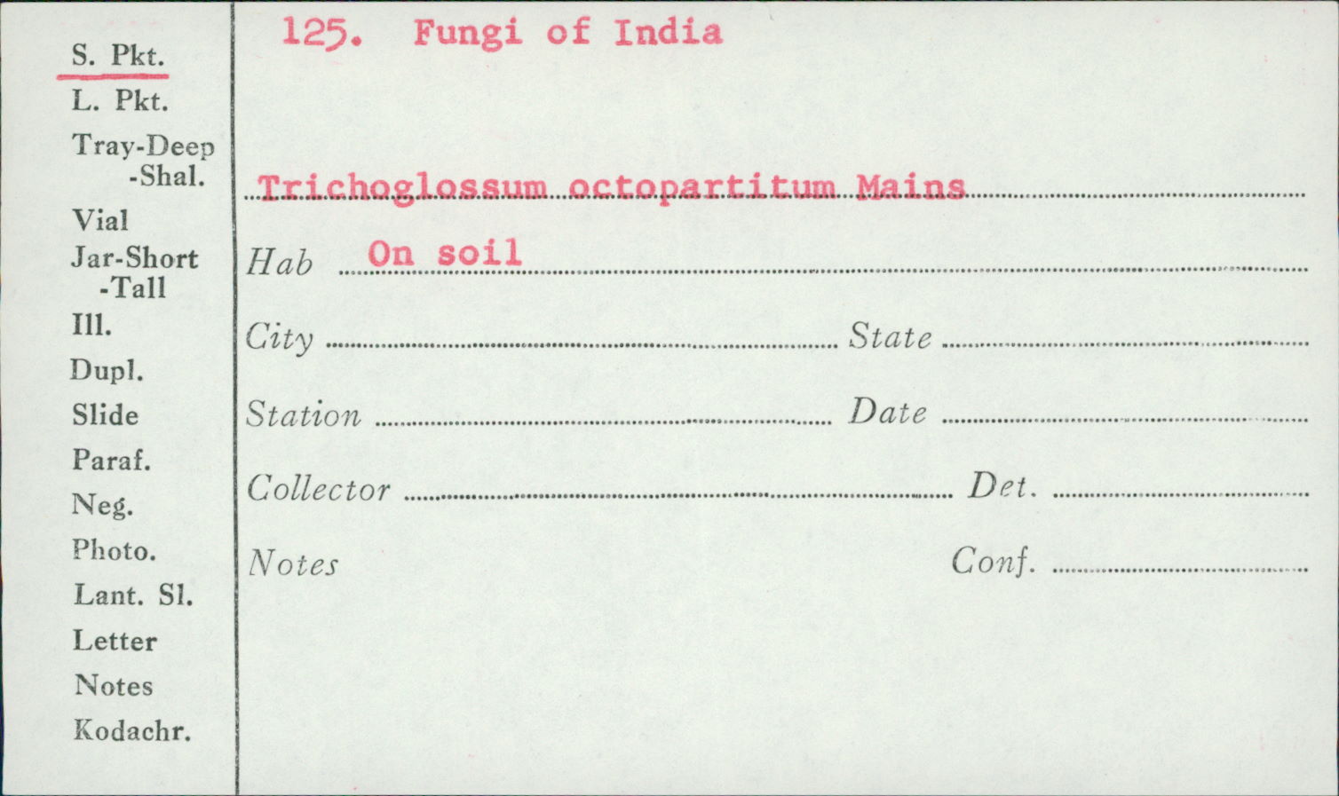 Trichoglossum octopartitum image