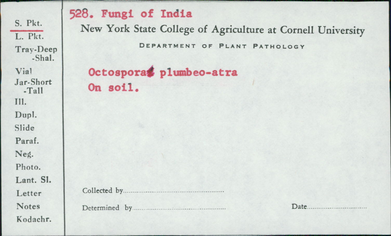 Octospora plumbeoatra image