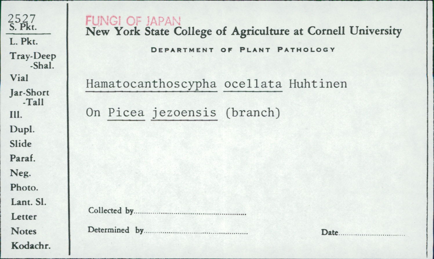 Hamatocanthoscypha ocellata image