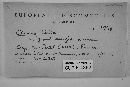 Scutellinia cejpii image