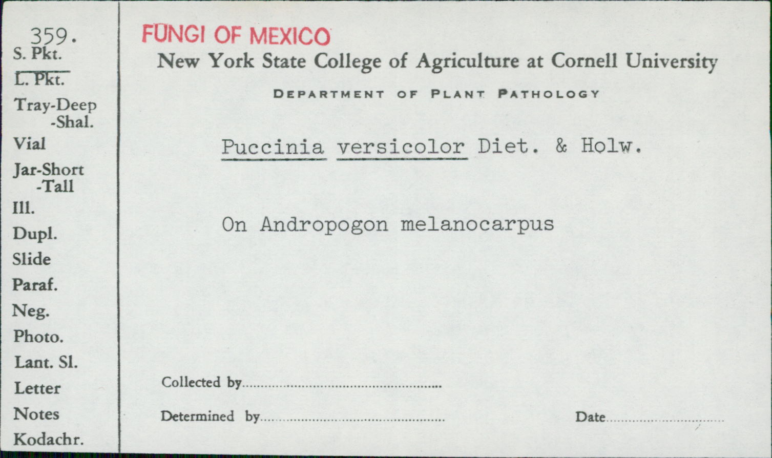 Melanocarpus image