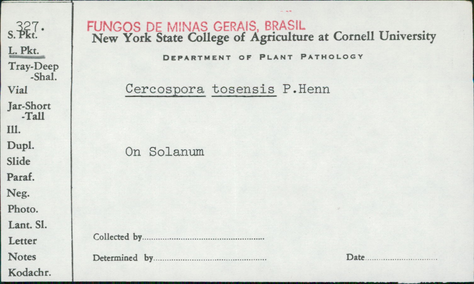 Cercospora tosensis image