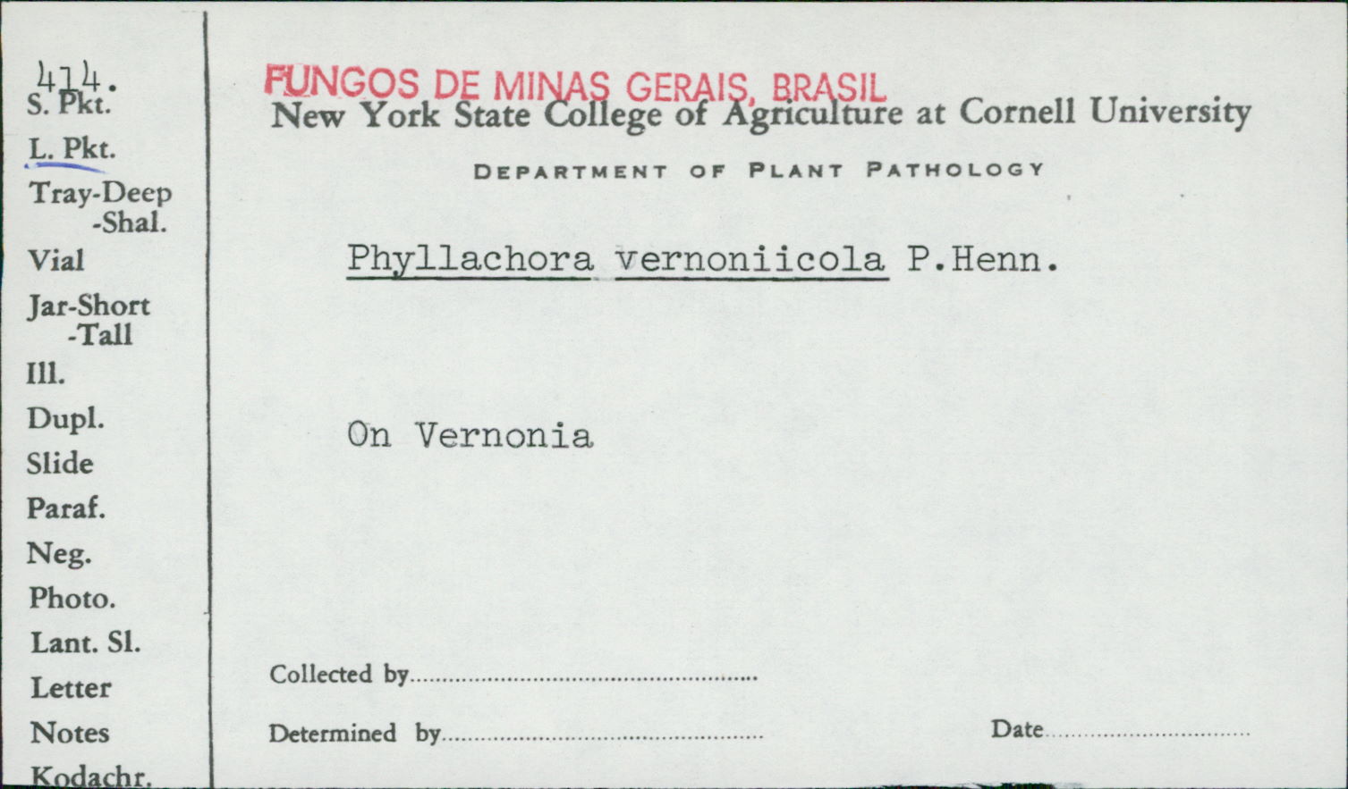 Phyllachora vernoniicola image