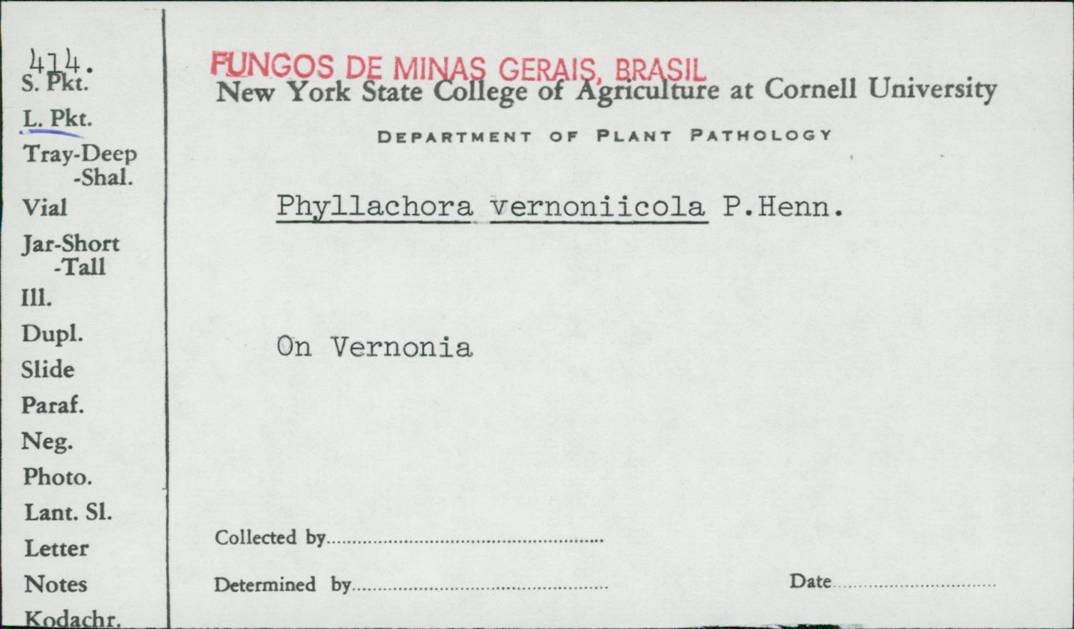 Phyllachora vernoniicola image