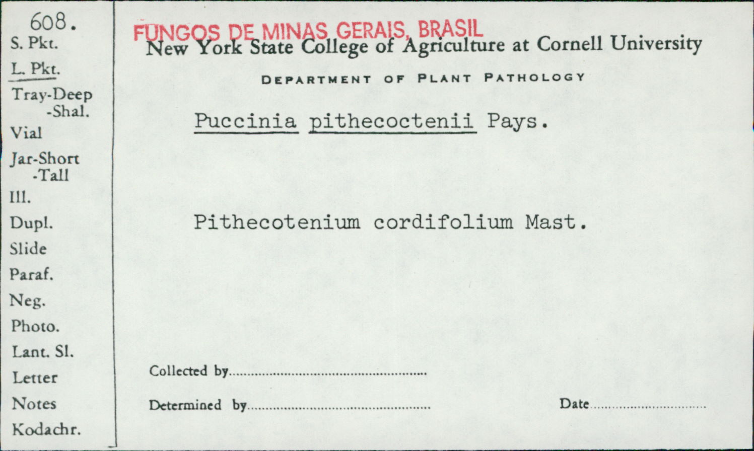 Puccinia pithecoctenii image