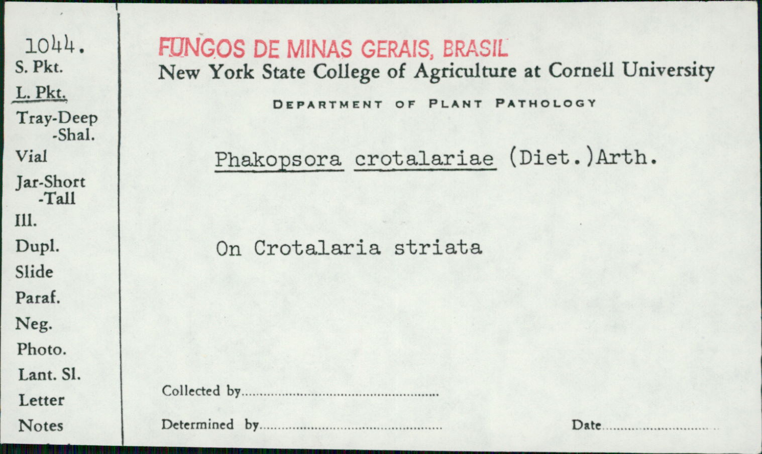 Phakopsora crotalariae image
